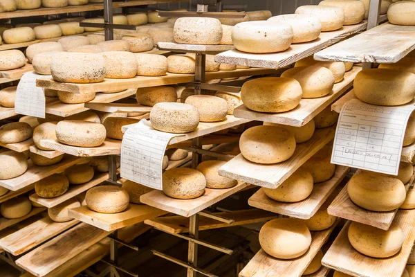 Ripened cheeses lying in the cold storage — Stock Photo, Image