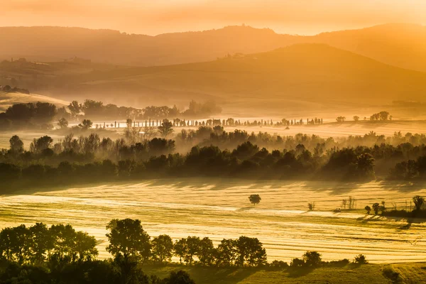 Cálida mañana de niebla en el valle, Toscana — Foto de Stock