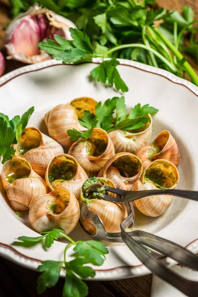 Snails baked in garlic butter served on a plate — Stock Photo, Image