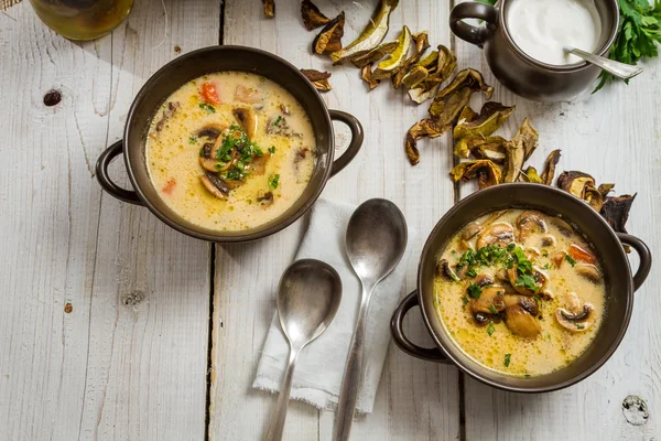 Nahaufnahme von zwei Bronzeschalen mit Pilzsuppe — Stockfoto