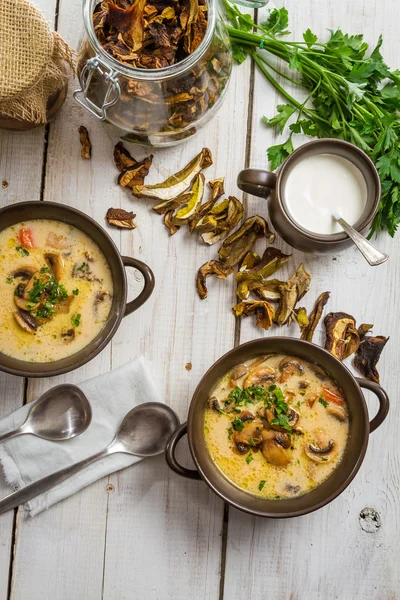 Two plate of mushroom soup and fresh ingredients — Stock Photo, Image