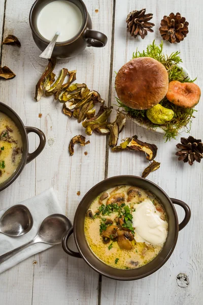 Zuppa di funghi servita in stile foresta — Foto Stock