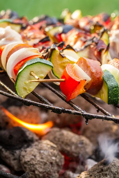 Spiedini caldi alla griglia con fuoco — Foto Stock