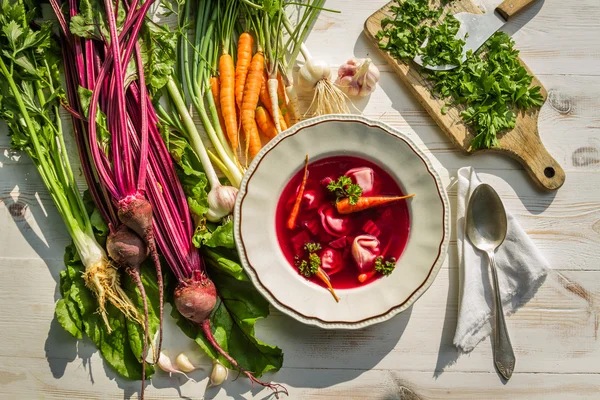 Fechar a sopa de beterraba com legumes frescos — Fotografia de Stock