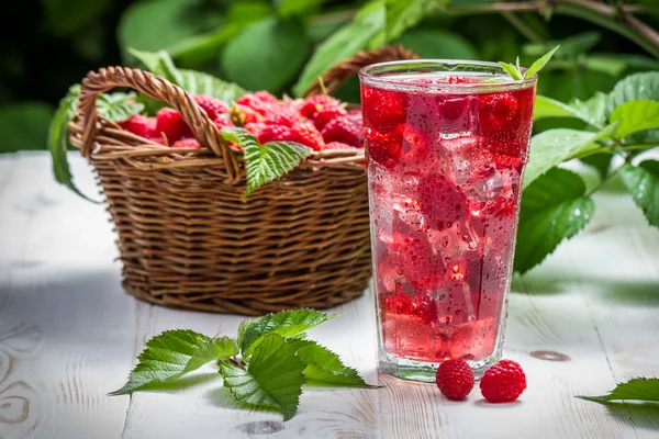 Juice from freshly harvested raspberries — Stock Photo, Image