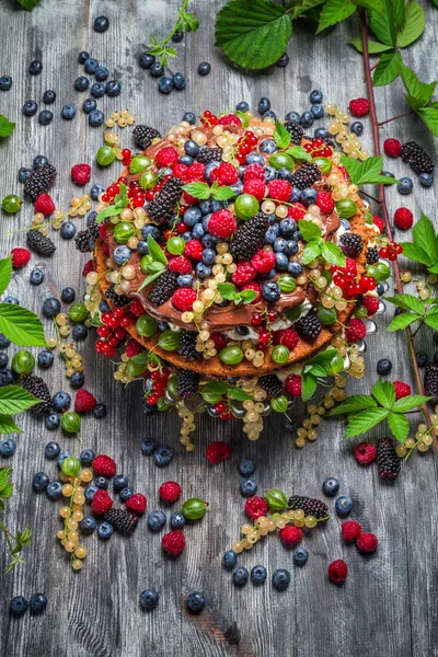 野生の果実の作ったケーキ — ストック写真