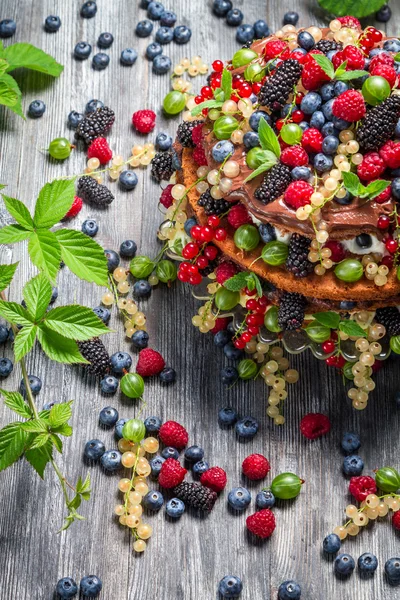 Chocolate cake made of mix wild berries — Stock Photo, Image