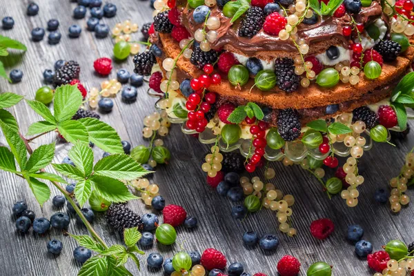 ケーキ フレッシュの野生のベリー果実のクローズ アップ — ストック写真