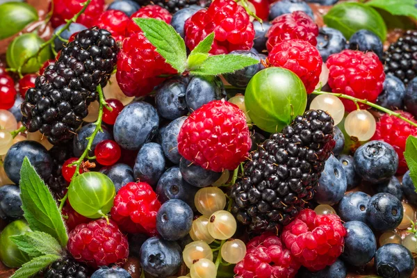 Closeup de frutos de baga frescos — Fotografia de Stock