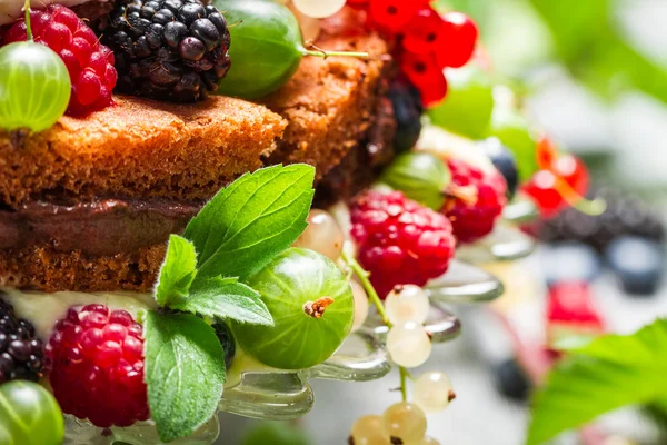ケーキに新鮮な野生のベリー果実のクローズ アップ — ストック写真