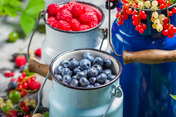 Closeup of fresh berry fruits in churn — Stock Photo, Image