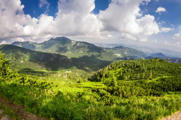 Skyline from the mountain peak in the summer — стоковое фото