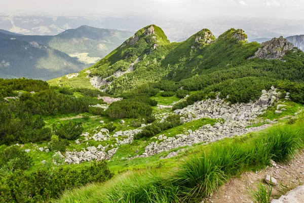 Vista dos picos de uma trilha de montanha no verão — Fotografia de Stock