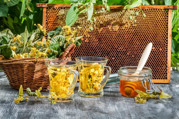 Summer lime tea with honey served in the garden — Stock Photo, Image