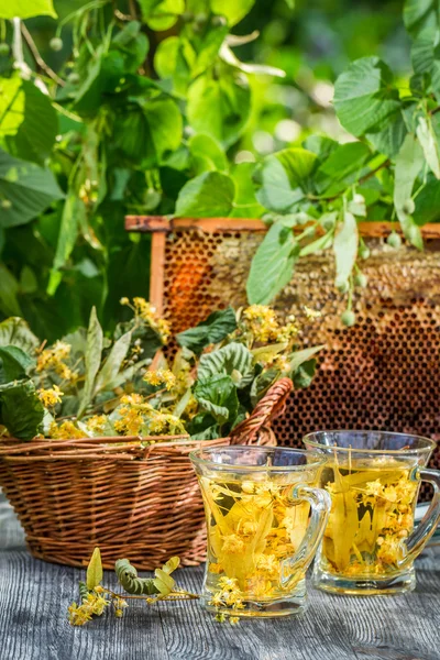 Sommaren kalk te med honung serveras i trädgården — Stockfoto