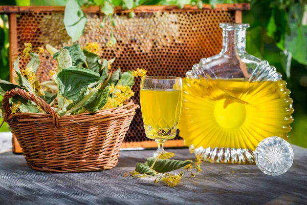 Homemade liqueur made of honey and lime in garden — Stock Photo, Image