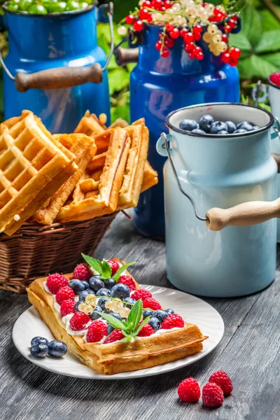 Waffeln mit Sahne und Blaubeere und Himbeere — Stockfoto