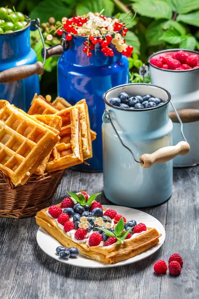 Waffel krem ve yaban mersini ve ahududu — Stok fotoğraf