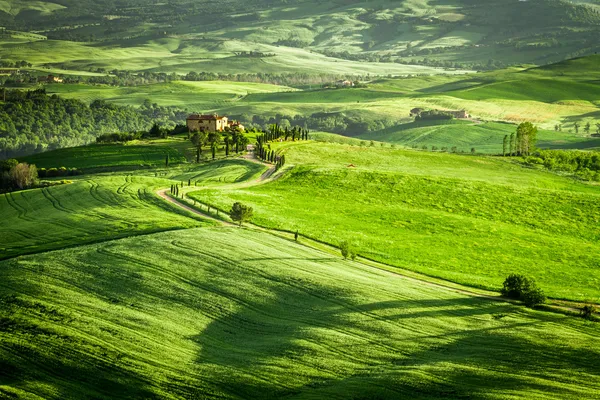 Vallée sinueuse en Toscane au lever du soleil — Photo