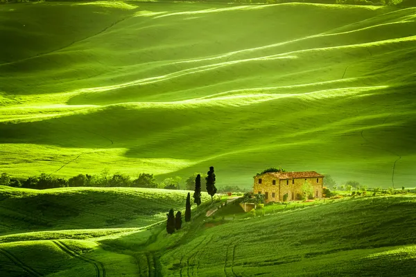 Misty valley in Tuscany at sunrise — Stock Photo, Image