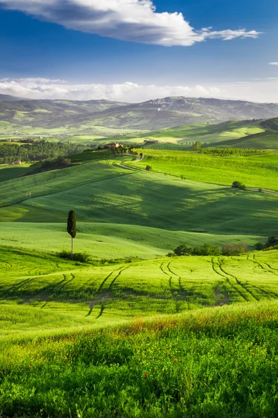 Misty valley in Tuscany at sunrise — Stock Photo, Image