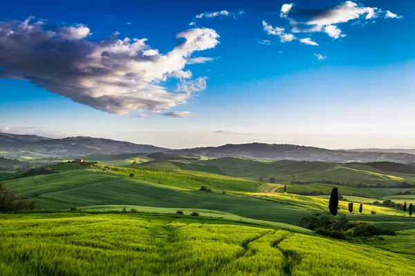 Misty valley in Tuscany at sunrise — Stock Photo, Image