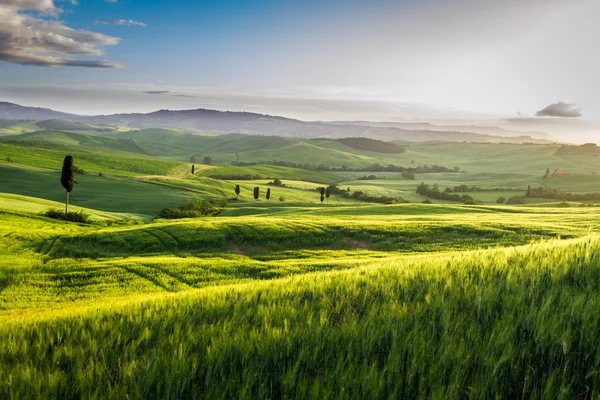 Nebliges Tal in der Toskana bei Sonnenaufgang — Stockfoto