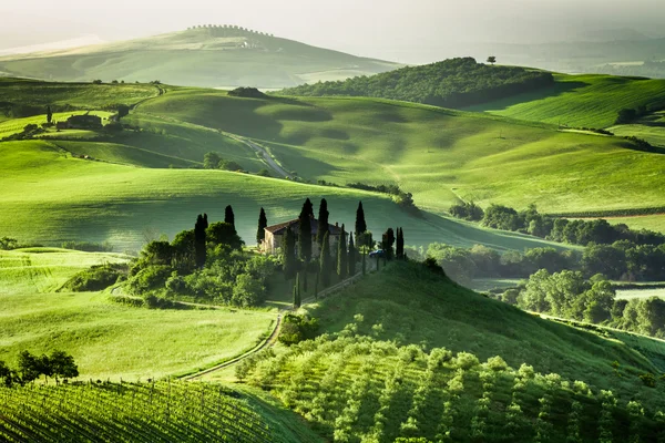 Valle nebbiosa in Toscana all'alba — Foto Stock