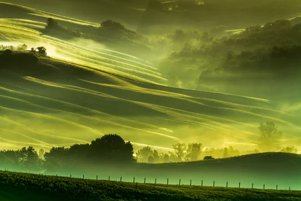 Nevoeiro da manhã no campo Toscana — Fotografia de Stock