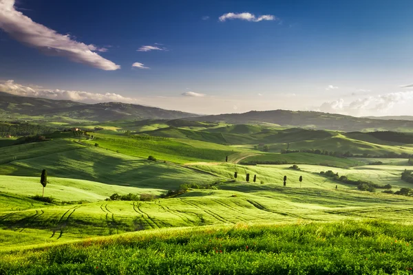 Rising fog in the valley at sunset, Tuscany — Stock Photo, Image