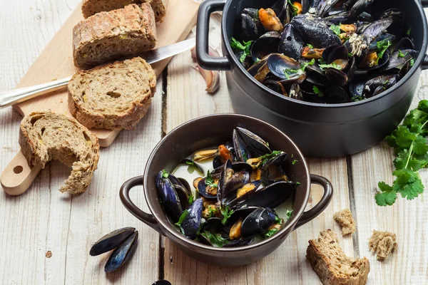 Closeup of freshly cooked mussels at home — Stock Photo, Image