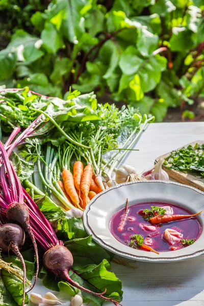 Beetroot soup with fresh vegetables on field — Stock Photo, Image