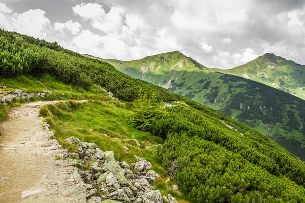 Panoramisch uitzicht op de bergtoppen van de trail — Stockfoto