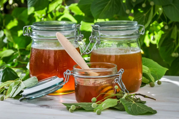 Honey in a jar and honeycomb with linden tree — Stock Photo, Image