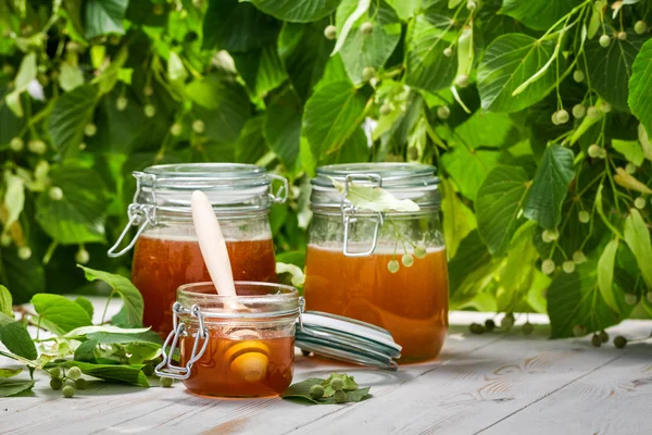 Honey in a jar and honeycomb with linden tree — Stock Photo, Image