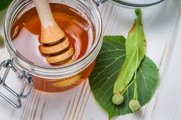 Honung i en burk och honeycomb med linden tree — Stockfoto