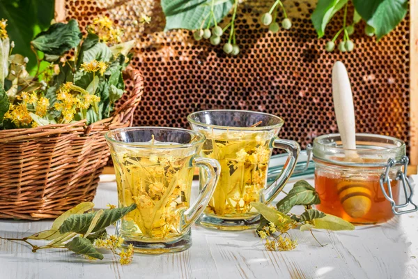 Летний лаймовый чай с медом подается в саду — стоковое фото