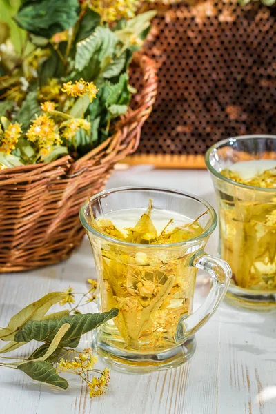 Летний лаймовый чай с медом подается в саду — стоковое фото