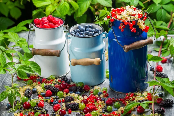 Primer plano de frutas frescas de bayas en batido —  Fotos de Stock