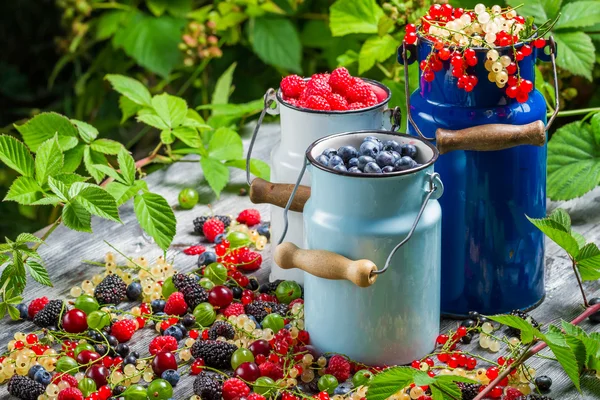 Closeup of fresh berry fruits in churn — Stock Photo, Image