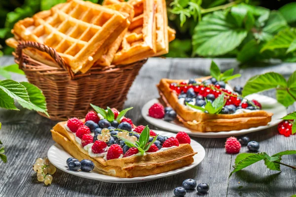 Waffels se smetanou a Borůvka a Malina — Stock fotografie