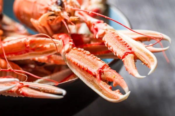 Lobster with lemon as a seafood dish — Stock Photo, Image