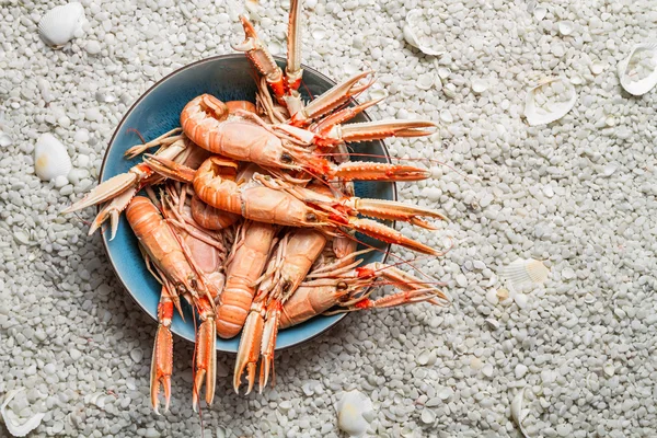 Fresh seafood straight from the sea — Stock Photo, Image