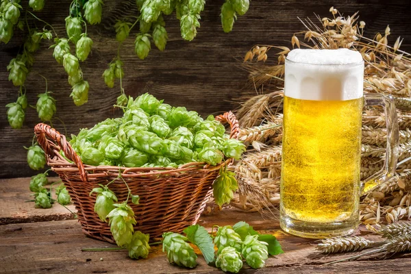 Nahaufnahme von goldenen Ohren in frischem Bier — Stockfoto