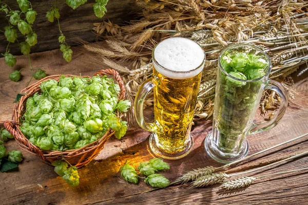 Gros plan d'oreilles dorées dans de la bière fraîche — Photo