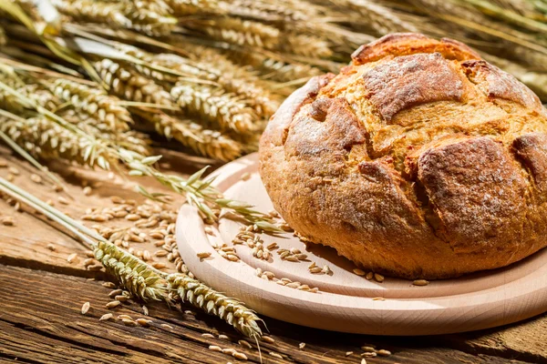 Freshly baked country bread from a healthy grain — Stock Photo, Image