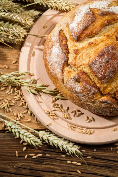 Dan sağlıklı tahıl taze ekmek ülke — Stok fotoğraf