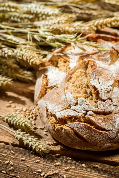 Čerstvě upečený bochník chleba — Stock fotografie