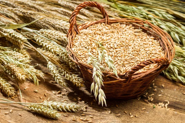 Cesto pieno grano su vecchio tavolo di legno — Foto Stock