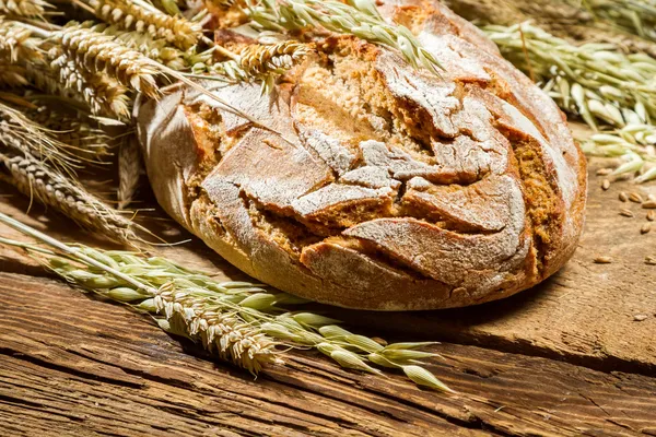 Teljes kiőrlésű kenyér, a háttérben a gabona fülek — Stock Fotó